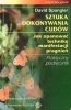 Sztuka dokonywania cudów